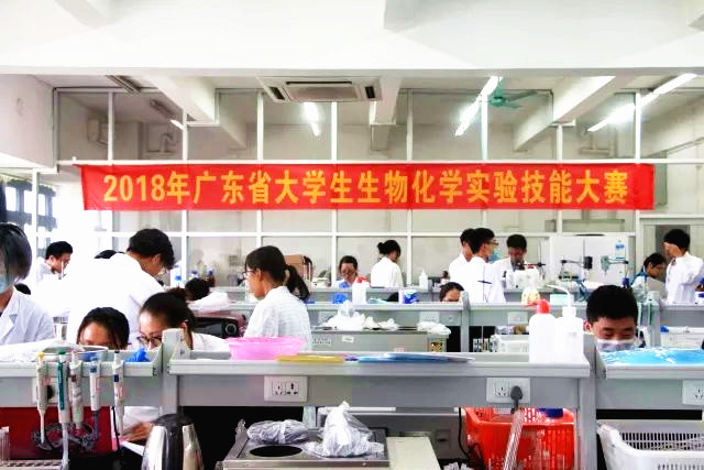 太阳成集团tyc9728员工荣获广东省生物化学实验技能大赛二等奖02.jpg